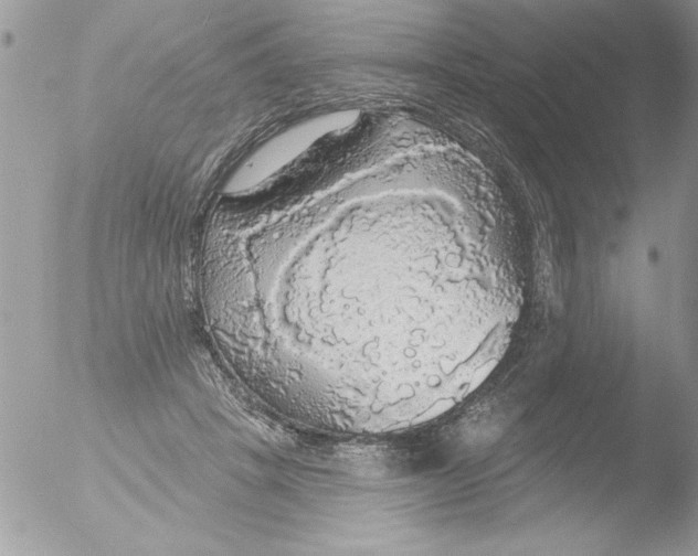 X0000051260457200507152220