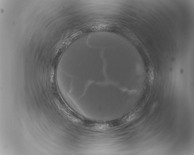 X0000051260458200507152220