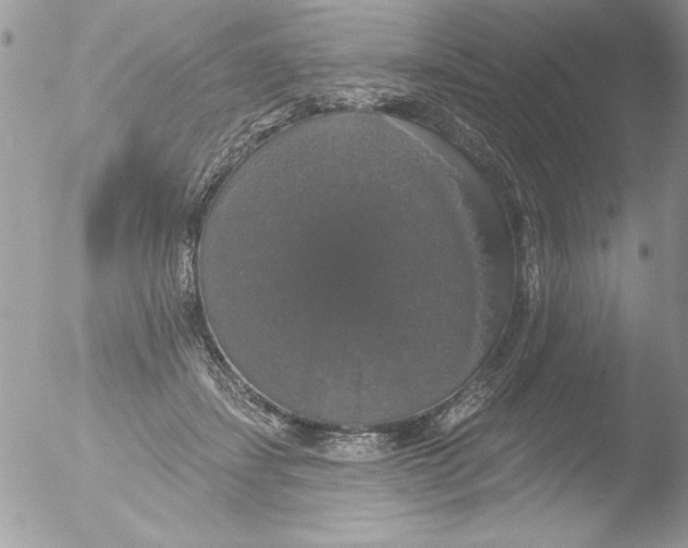 X0000051260459200507152220