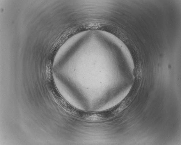 X0000051260460200507152220