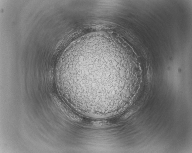 X0000051260461200507152220