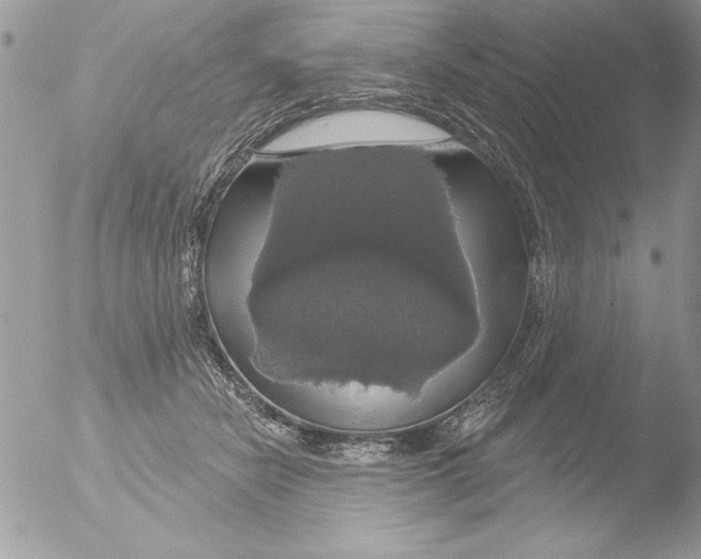 X0000051260462200507152220