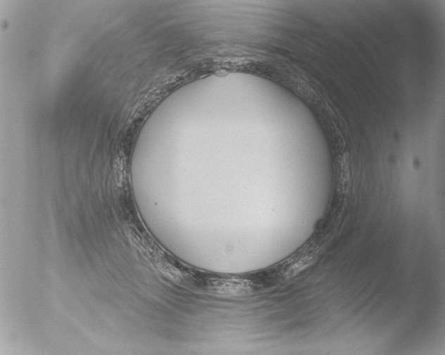 X0000051260463200507152220