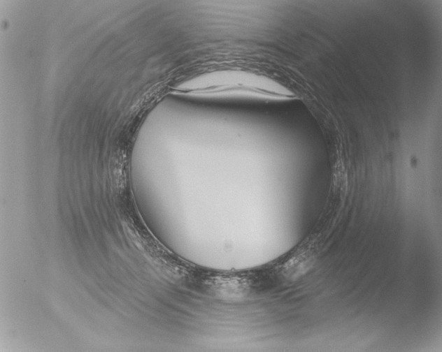 X0000051260464200507152220