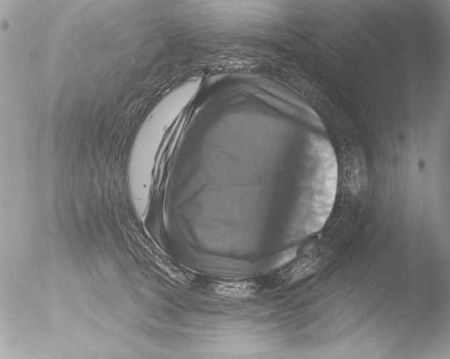 X0000051260465200507152220