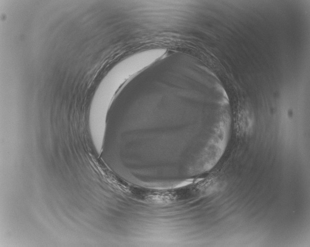 X0000051260466200507152220