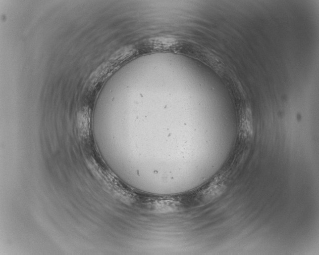 X0000051260468200507152220