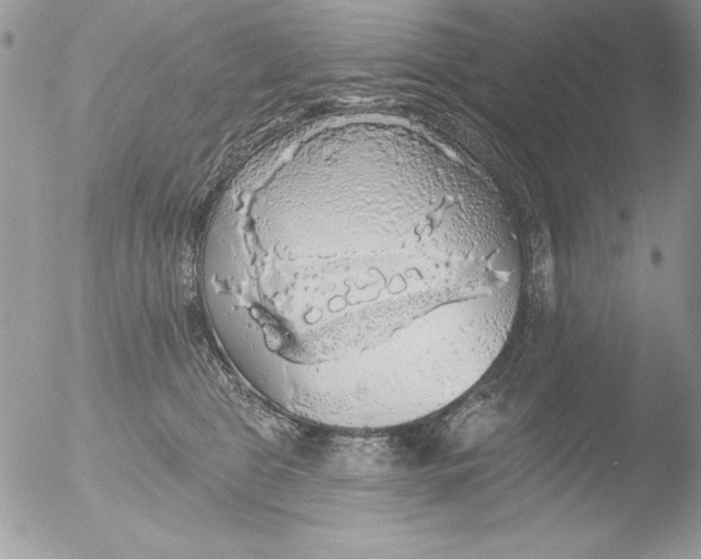 X0000051260469200507152220