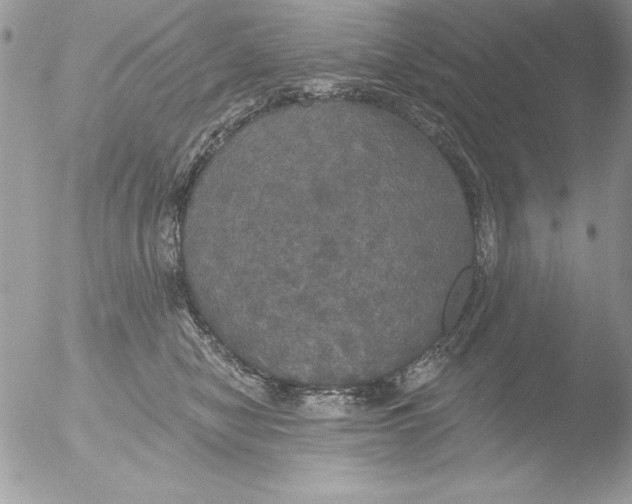 X0000051260470200507152220