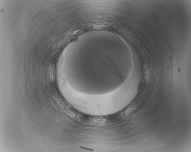 X0000051260471200507152220