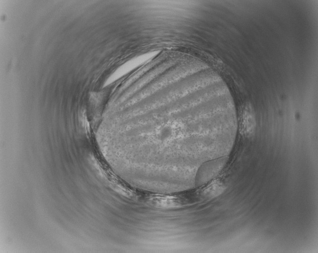 X0000051260472200507152220