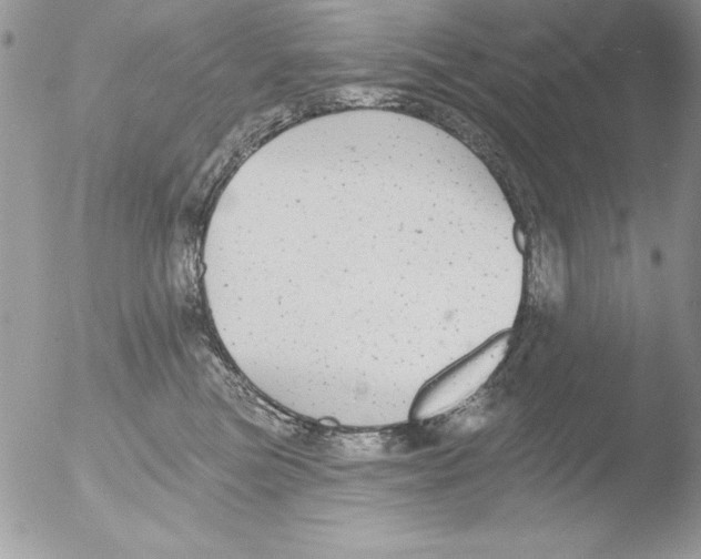 X0000051260473200507152220