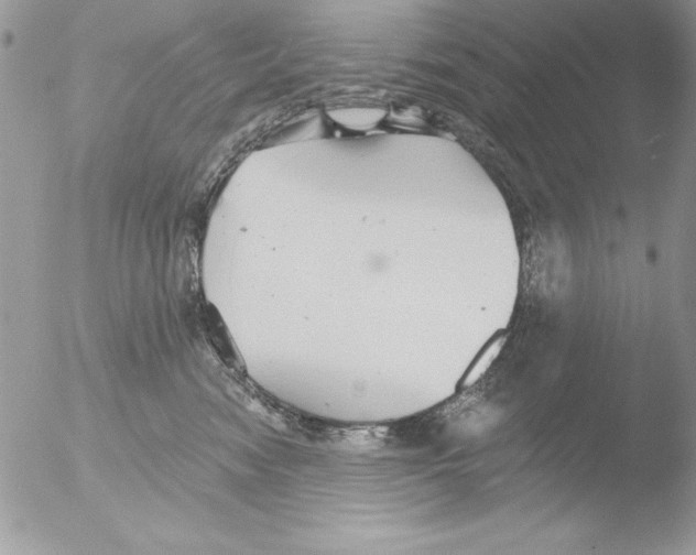 X0000051260474200507152220