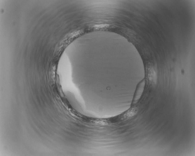 X0000051260475200507152220