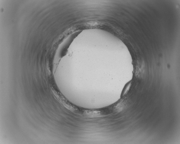 X0000051260476200507152220