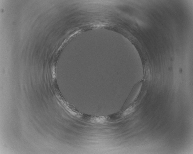 X0000051260479200507152220