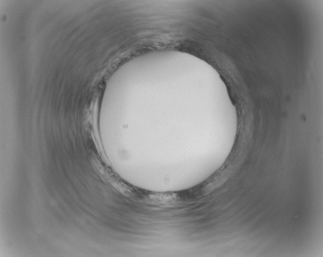 X0000051260480200507152220