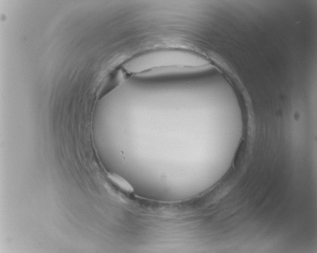 X0000051260481200507152220