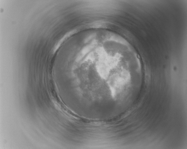 X0000051260482200507152220