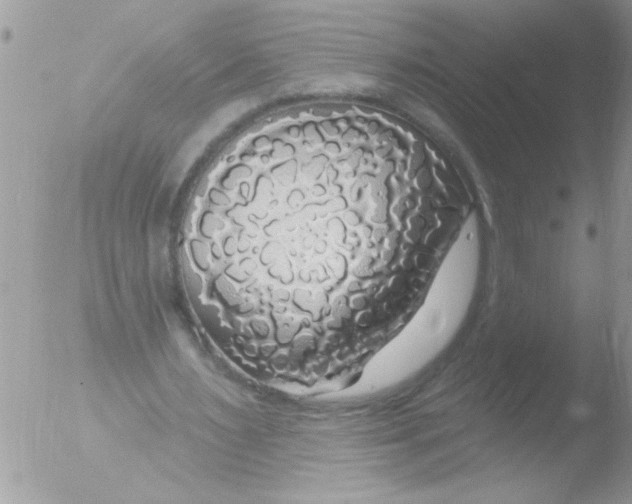 X0000051260483200507152220