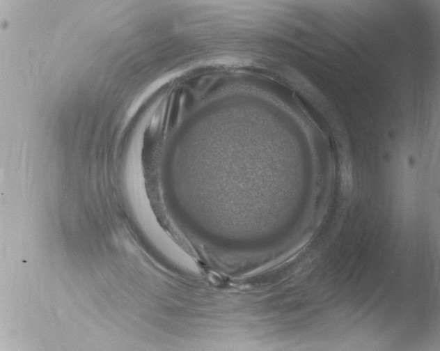 X0000051260484200507152220