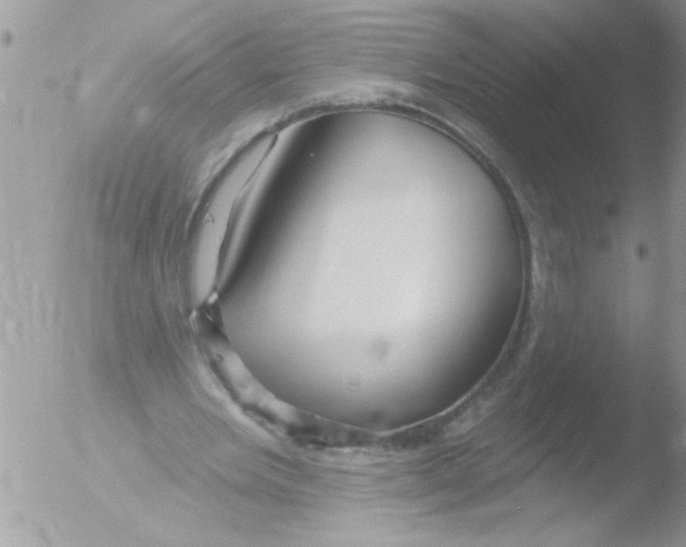 X0000051260485200507152219