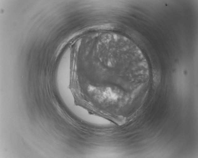 X0000051260487200507152219