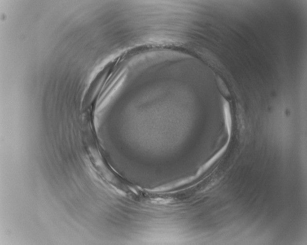 X0000051260488200507152219