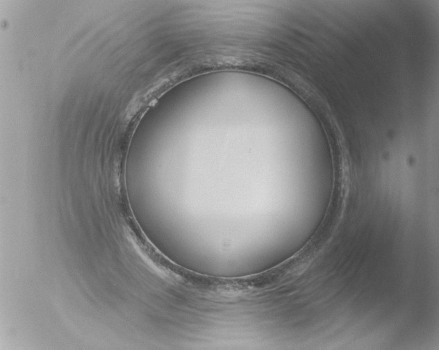 X0000051260489200507152219