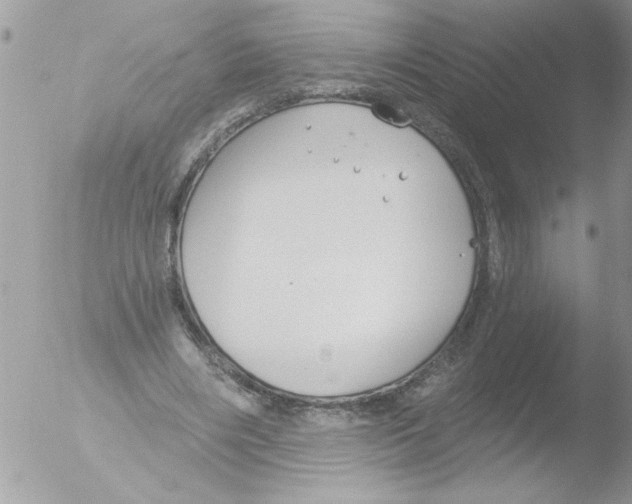 X0000051260490200507152219