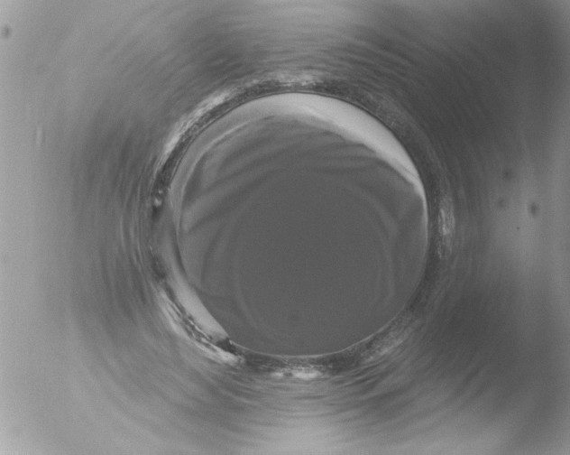 X0000051260492200507152219