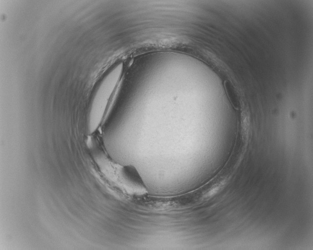 X0000051260493200507152219