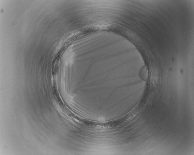 X0000051260494200507152219