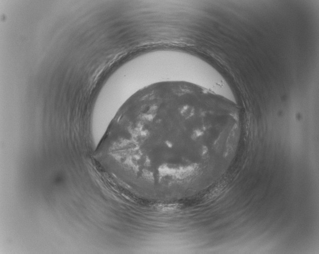 X0000051260495200507152219