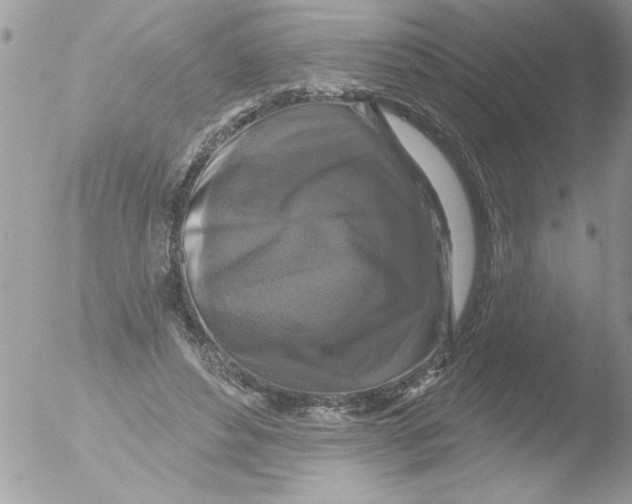 X0000051260496200507152219