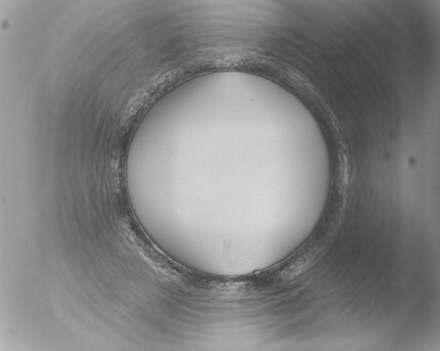 X0000051260497200507152219