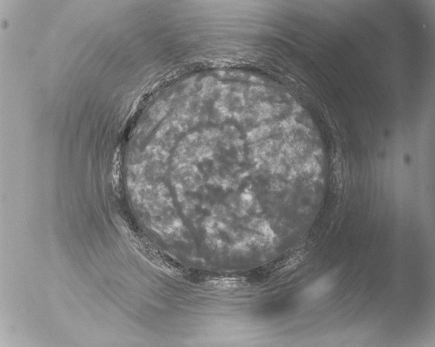 X0000051260499200507152219