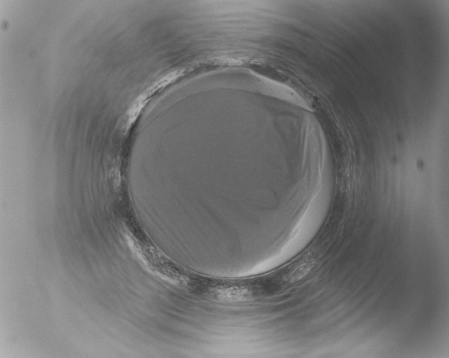 X0000051260500200507152219