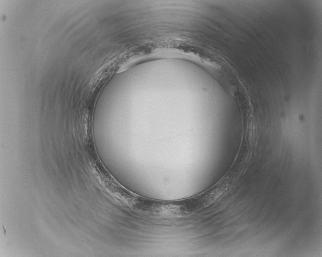 X0000051260501200507152219