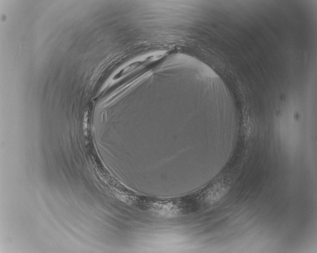 X0000051260502200507152219