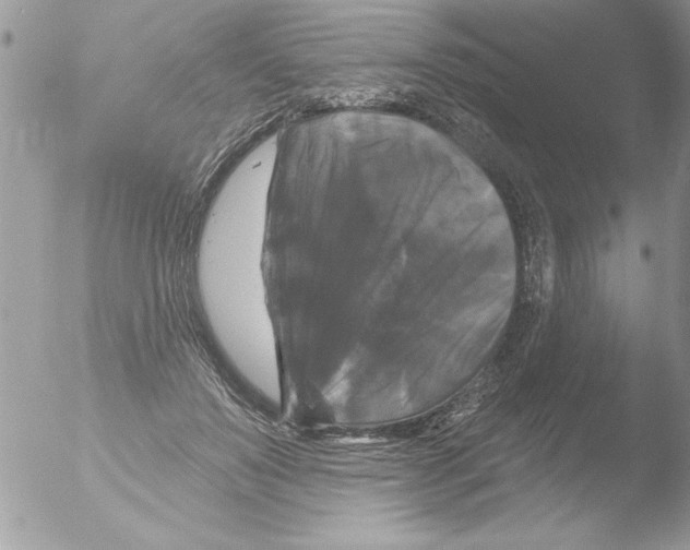 X0000051260503200507152219