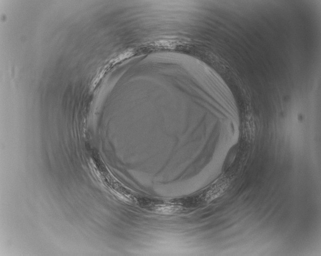 X0000051260504200507152219