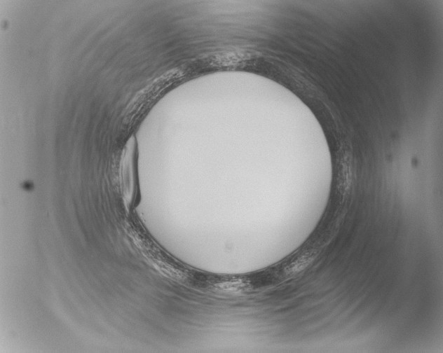 X0000051260505200507152219