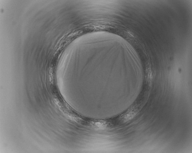 X0000051260506200507152219