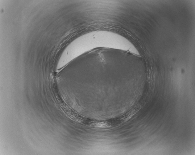 X0000051260507200507152219