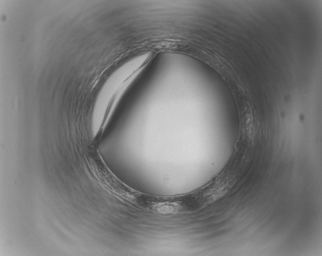 X0000051260508200507152219