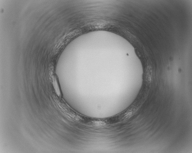 X0000051260509200507152219