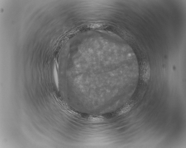 X0000051260510200507152219