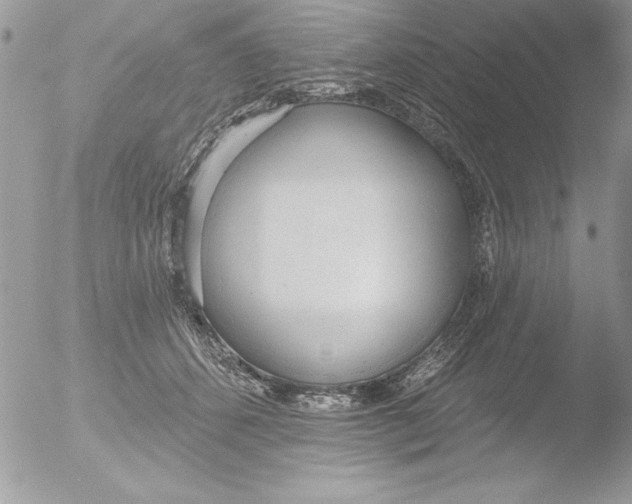 X0000051260512200507152219