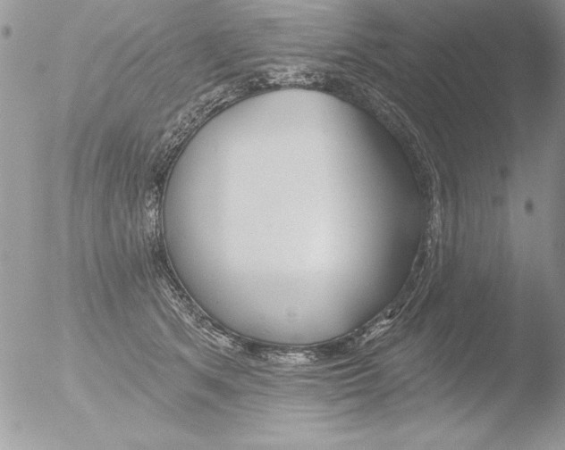 X0000051260513200507152219